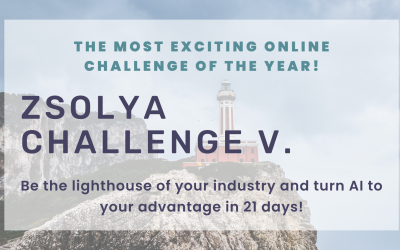 Zsolya Challenge V.